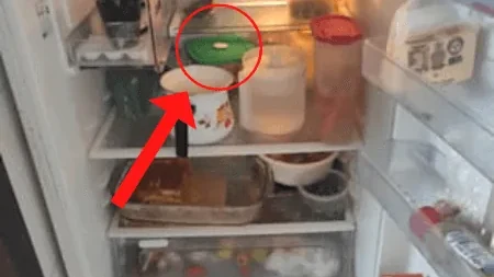O composto dos vegetais amargos que ajuda a tirar a gordura do fígado